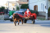 babbo_natale _2008_118.jpg