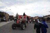 carnevale_2009_mario_115.jpg