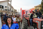 carnevale_2009_mario_247.jpg